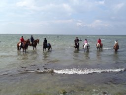 IMG_1361_web